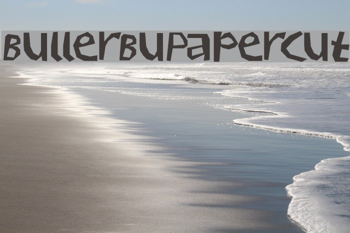BullerBuPapercut Example 2