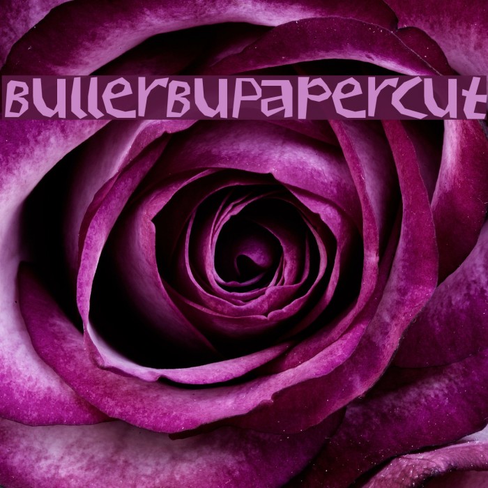 BullerBuPapercut Example 3