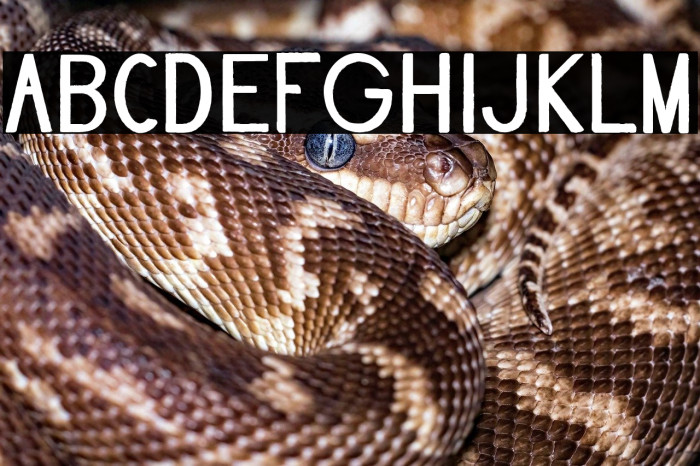 Bullet Journal Fall Example 1