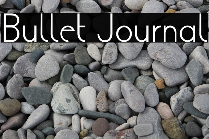 Bullet Journal Example 1