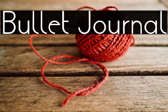 Bullet Journal Example 2