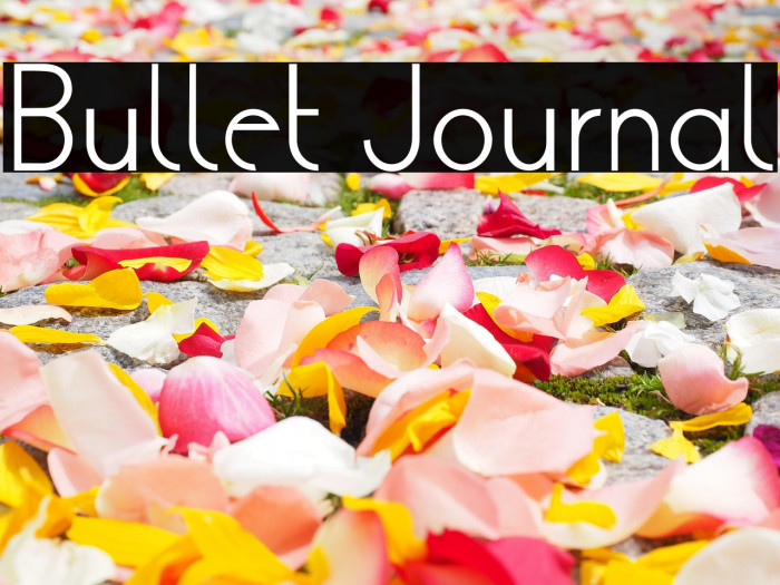Bullet Journal Example 3