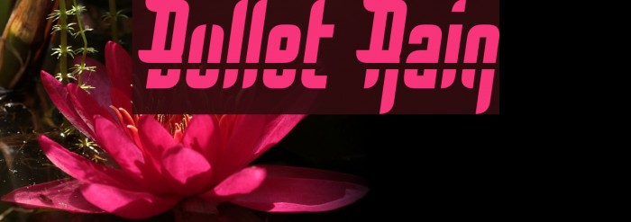 Bullet Rain Font examples