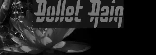 Bullet Rain Example 3