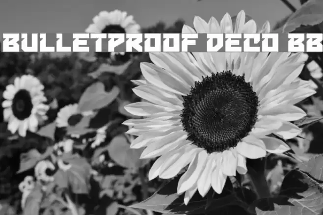 Bulletproof Deco BB Font examples