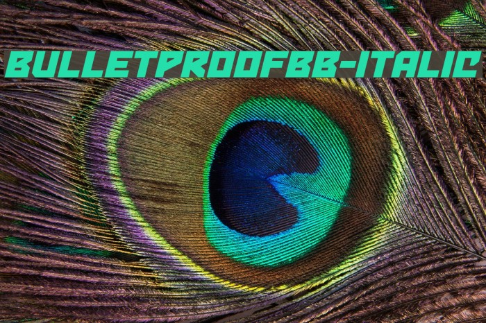 BulletproofBB-Italic Font examples