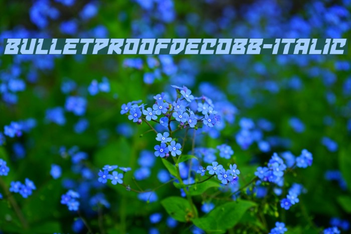 BulletproofDecoBB-Italic Font examples