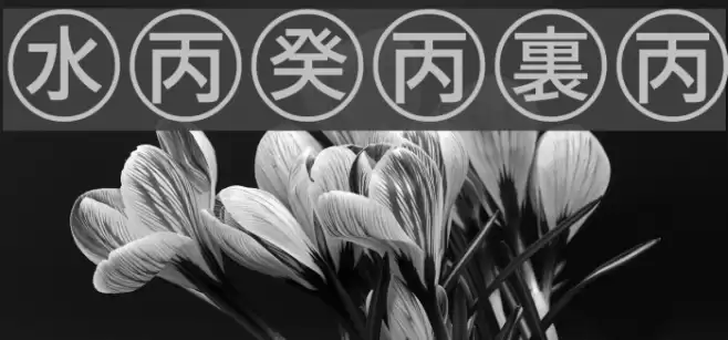 Bullets-4-Japanese- Font examples