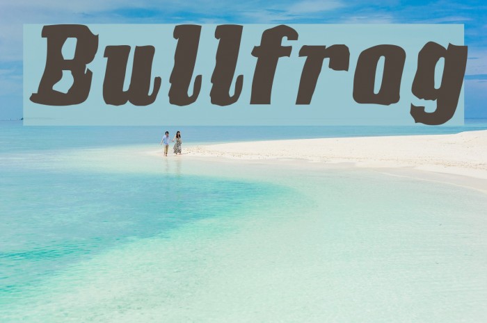Bullfrog Schriftart examples