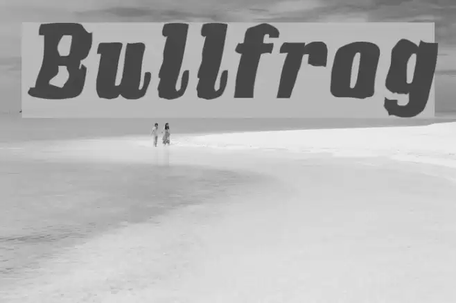 Bullfrog Font examples