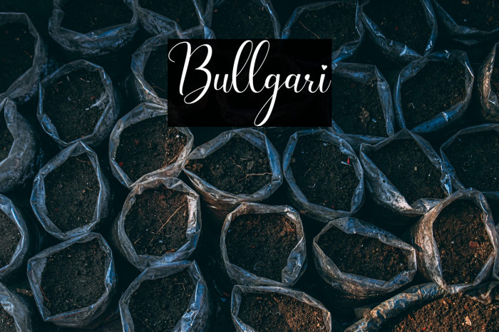 Bullgari Example 3