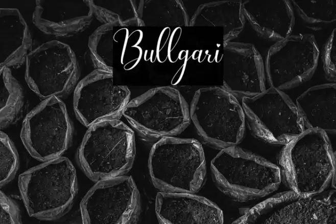 Bullgari Font examples