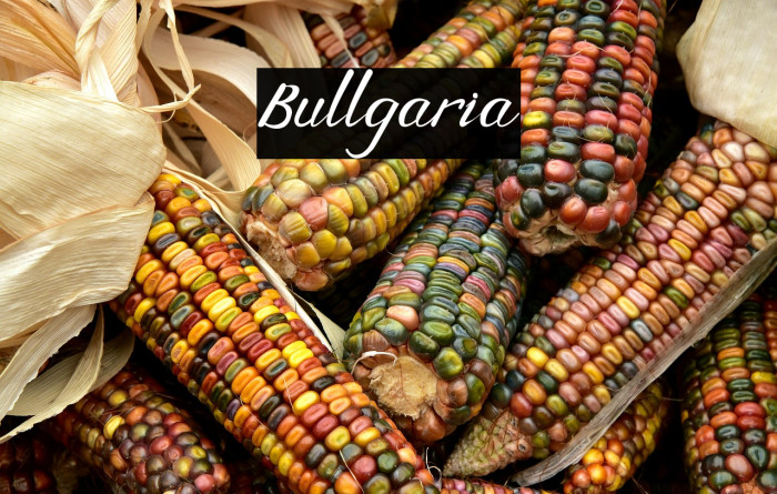 Bullgaria Example 1