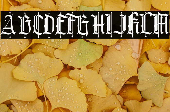 BullgineDEMO Example 1