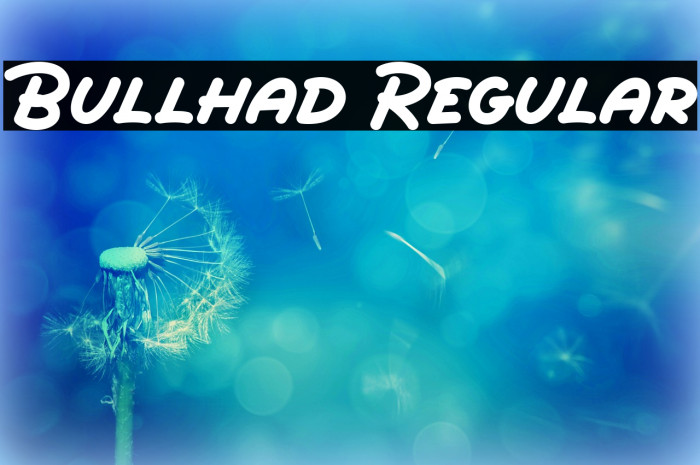 Bullhad Regular Font examples