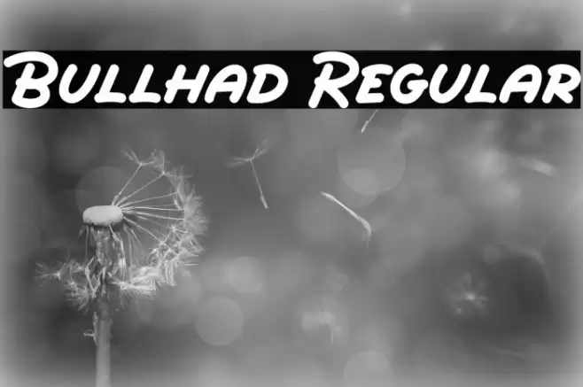 Bullhad Regular Шрифта examples