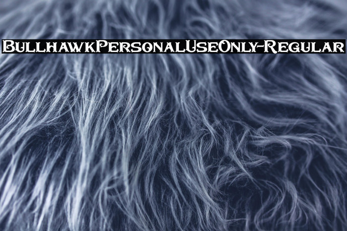 BullhawkPersonalUseOnly-Regular Example 2