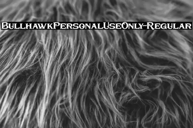 BullhawkPersonalUseOnly-Regular Font examples