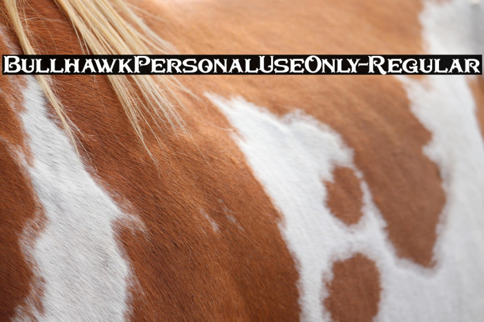 BullhawkPersonalUseOnly-Regular Example 3