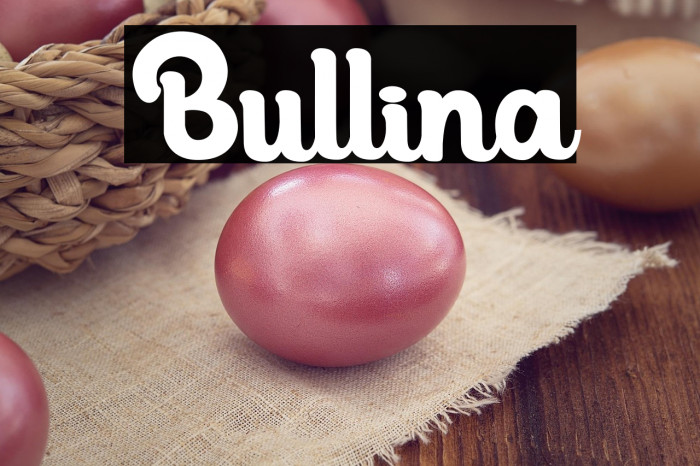 Bullina Example 1
