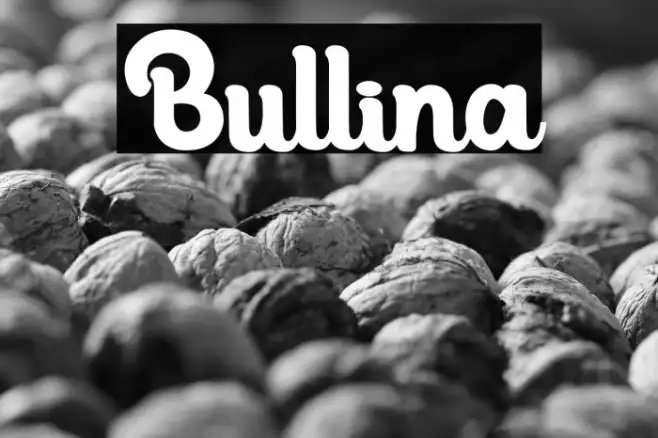 Bullina Example 2