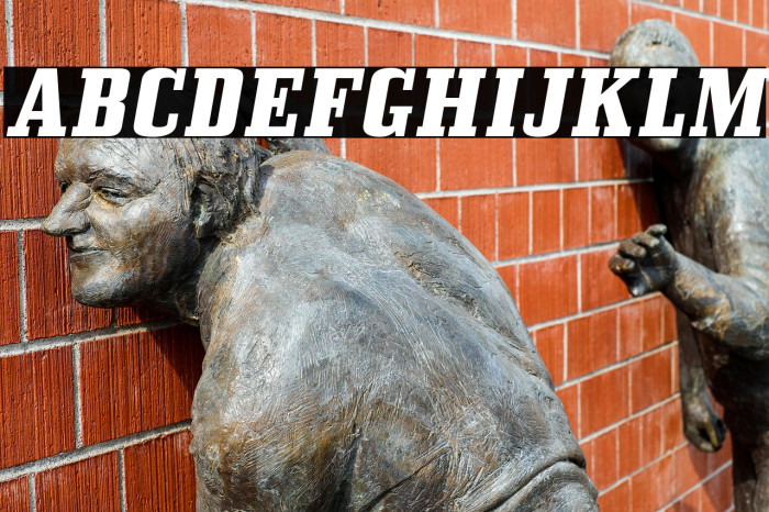 BullpenHv-Italic Example 1