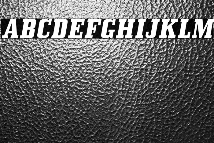 BullpenHv-Italic Example 3