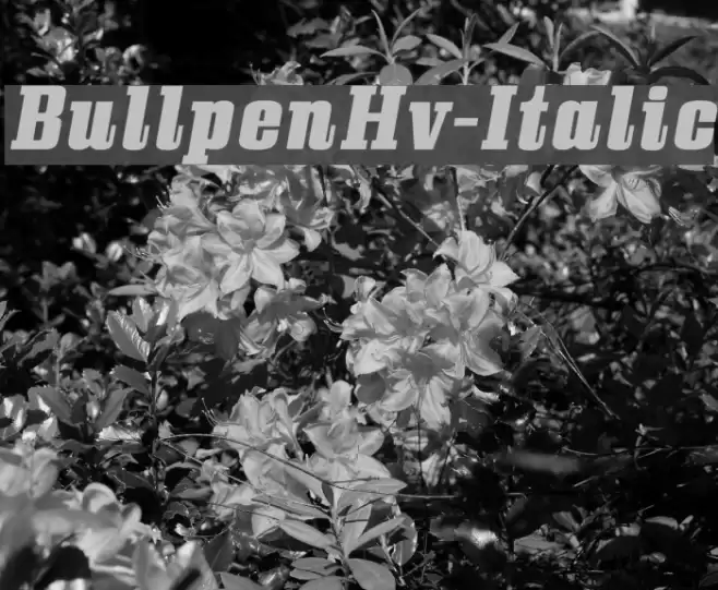 BullpenHv-Italic Font examples