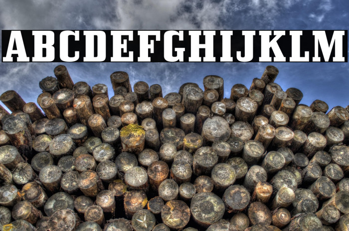 BullpenHv-Regular Example 2