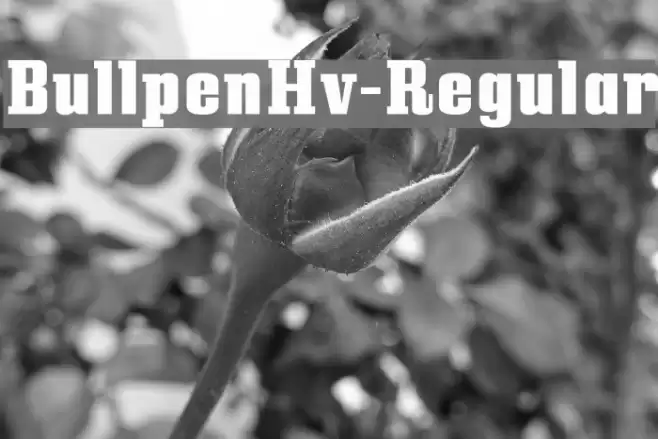 BullpenHv-Regular Font examples