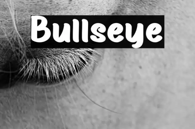 Bullseye Font examples