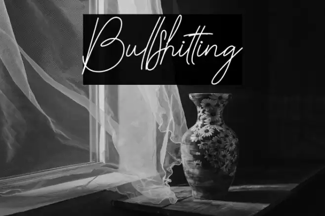 Bullshitting Font examples