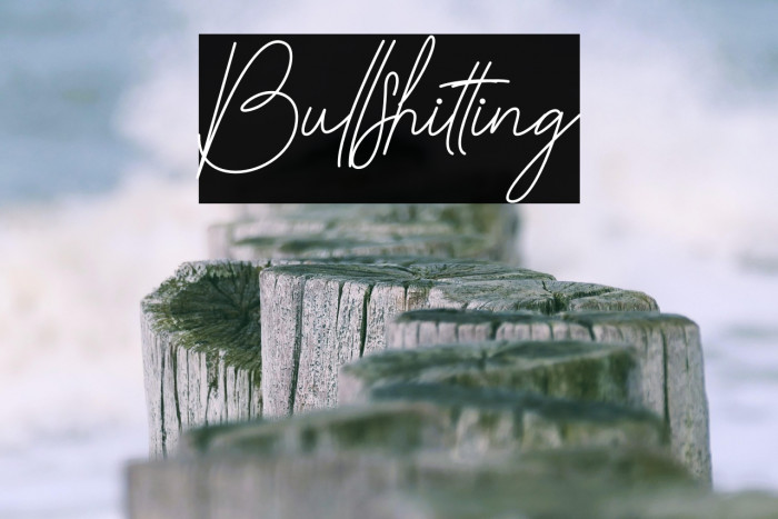 Bullshitting Example 2