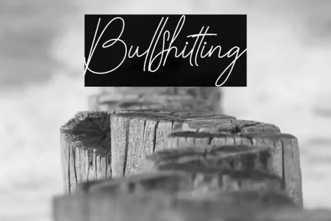 Bullshitting Font examples