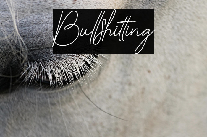 Bullshitting Example 3