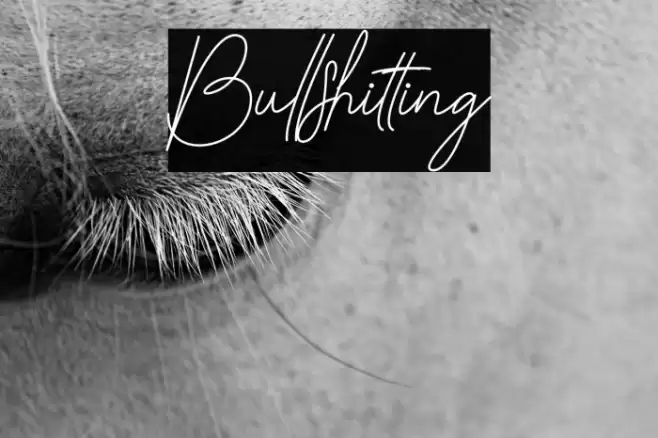 Bullshitting Font examples