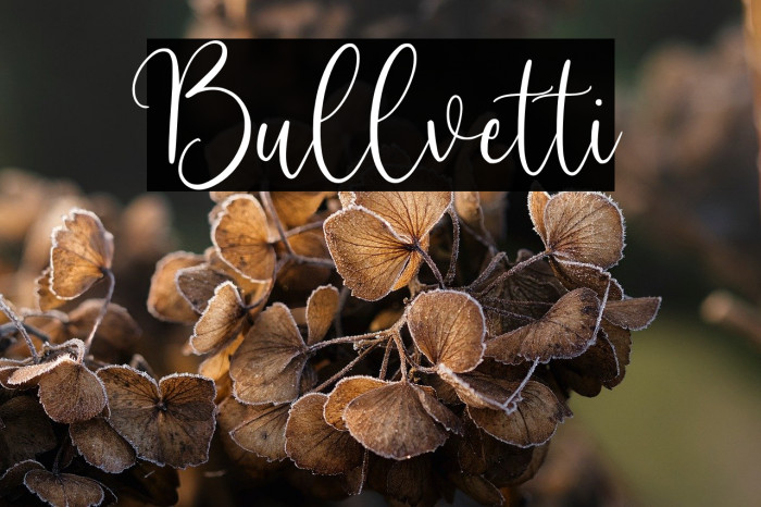 Bullvetti Example 1