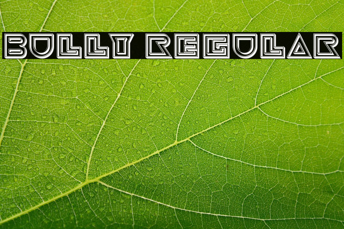 Bully Regular Example 1