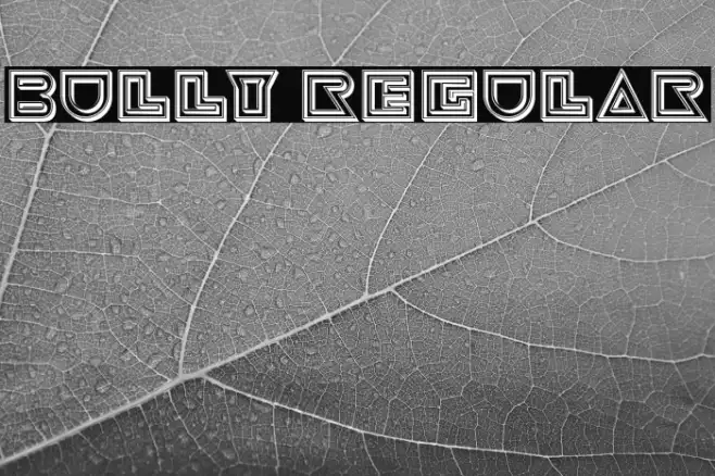 Bully Regular Example 1