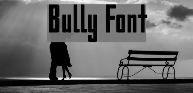 Bully Example 1