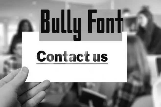 Bully Example 2