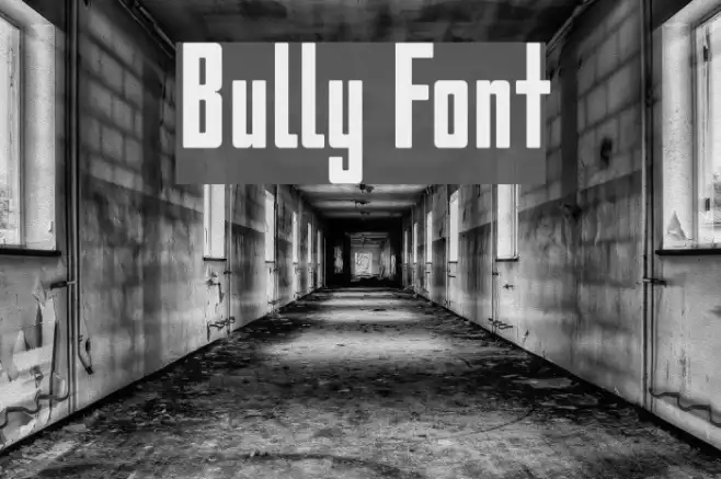 Bully Example 3