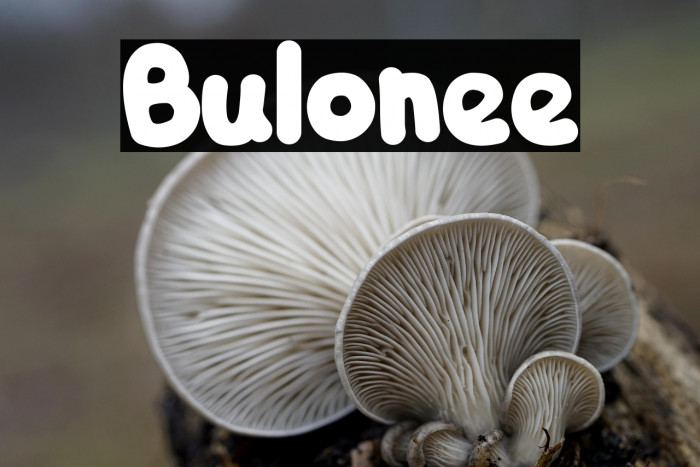 Bulonee Example 2