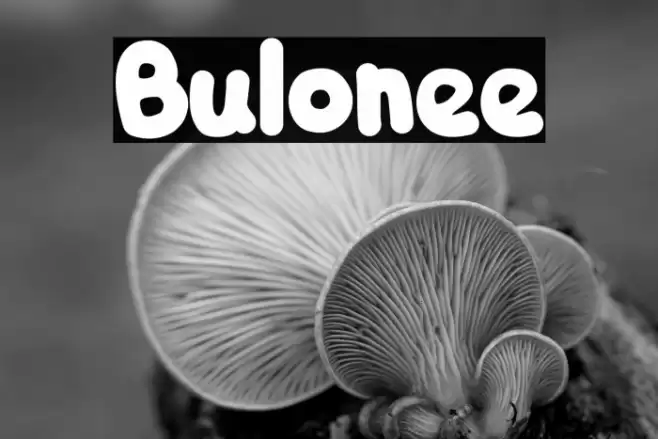 Bulonee फ़ॉन्ट examples
