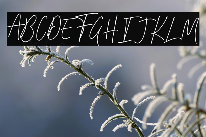 Bulqeusfertom Example 3