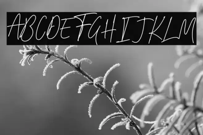 Bulqeusfertom Font examples