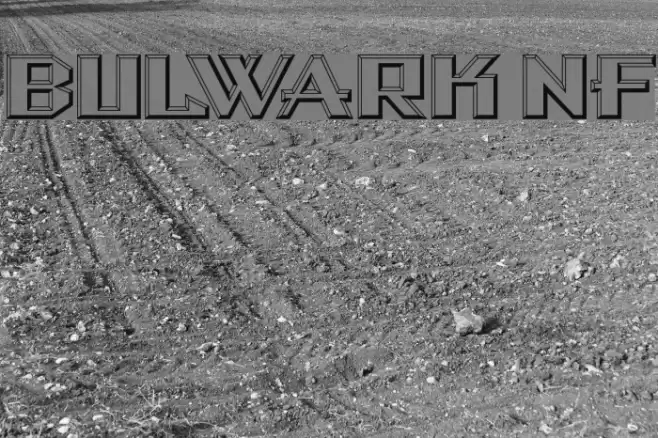 Bulwark NF Font examples