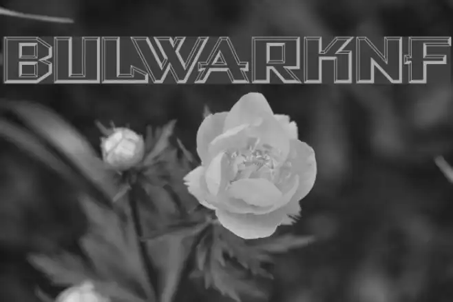BulwarkNF Example 1