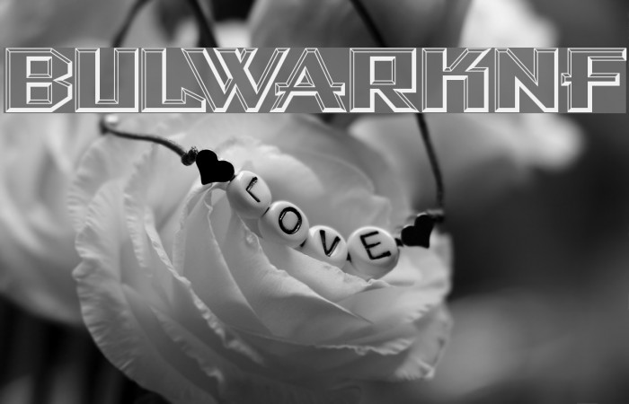 BulwarkNF Font examples