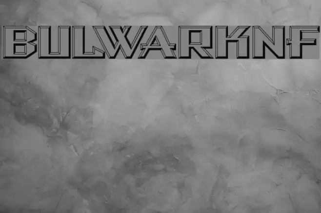 BulwarkNF Example 3
